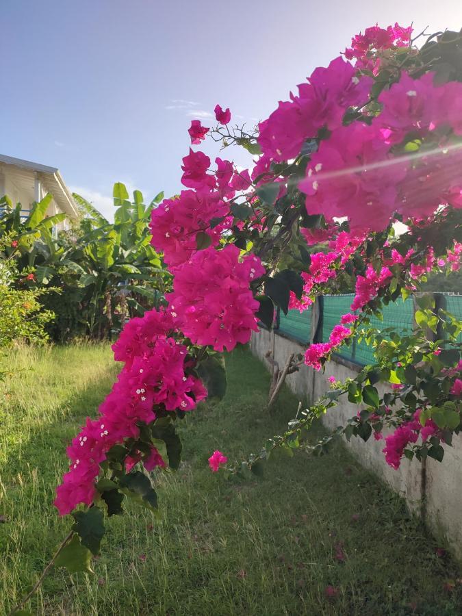 La Kaztelgood Villa Le Gosier  Dış mekan fotoğraf